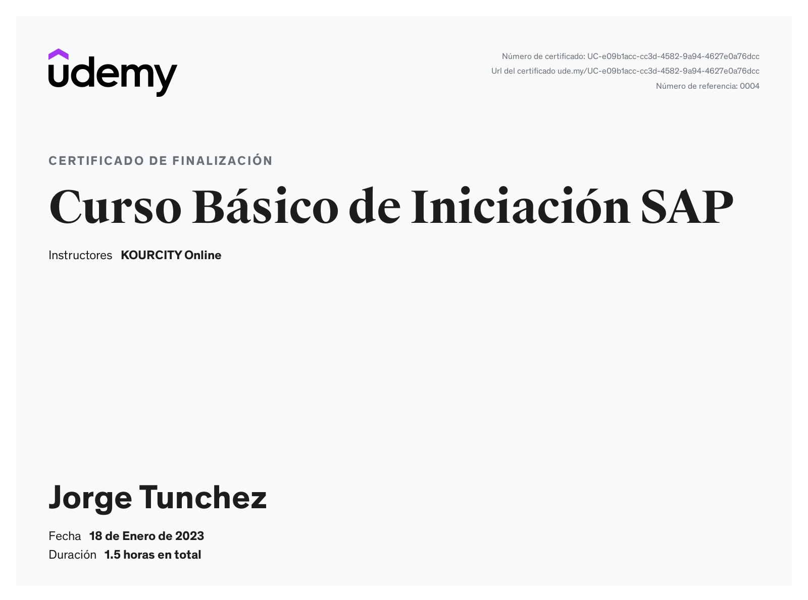 Curso Básico de Iniciación SAP